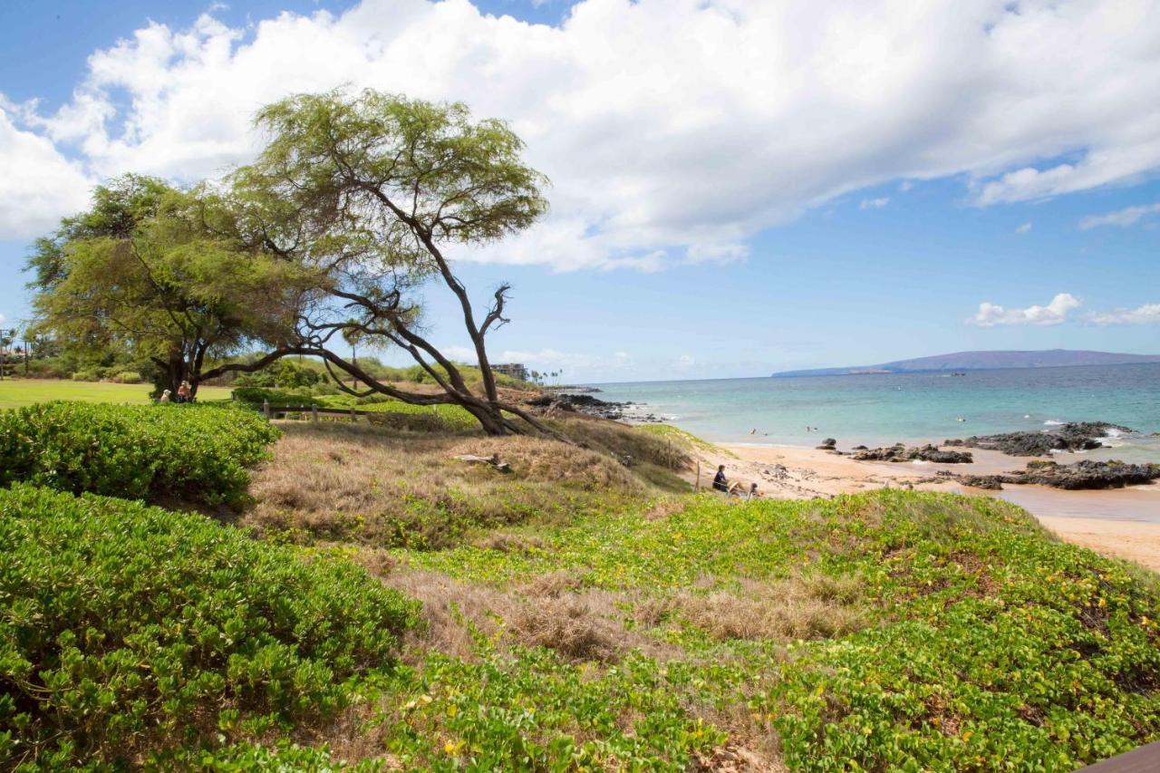 维雷亚Hale Kamaole 328别墅 外观 照片