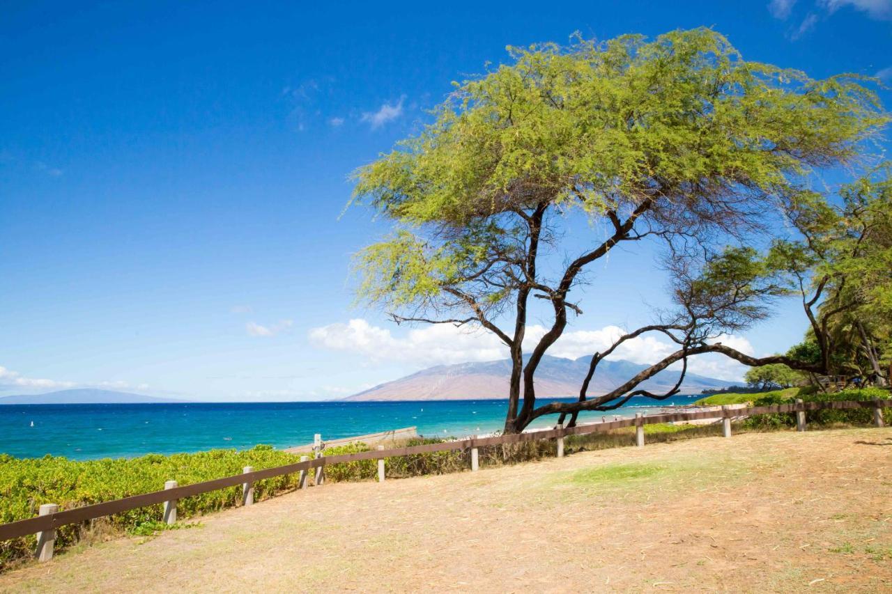 维雷亚Hale Kamaole 328别墅 外观 照片