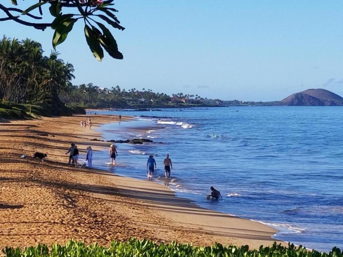 维雷亚Hale Kamaole 328别墅 外观 照片